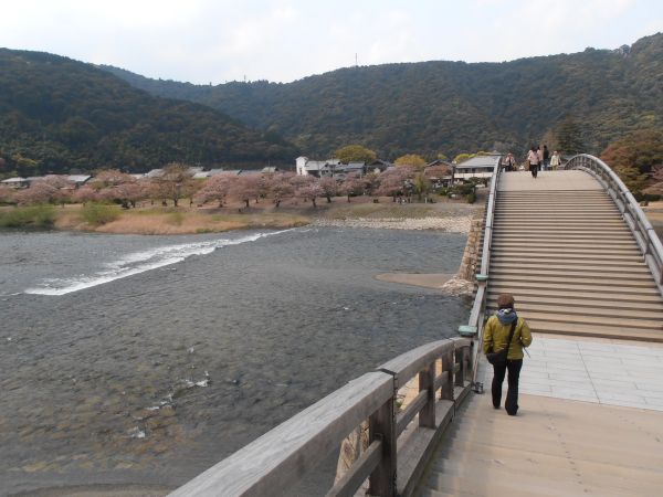 �D���ȋ��ł�