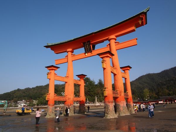 �{���Y��A���h